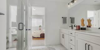 Mt. Rainier Gallery 26