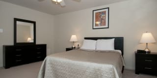 Wood Lee Arms Gallery 44