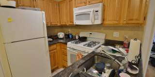 Charming 3 Bedroom-No Broker fee Gallery 7