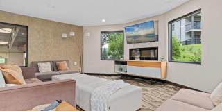 Palisades Gallery 17