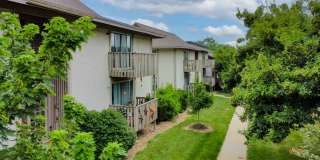 Craigmont Gallery 22