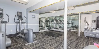 Nutmeg Woods Gallery 15