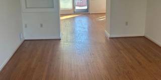 3301 SPRING LN Gallery 4