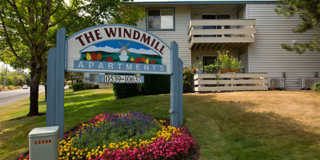 Windmill Gallery 3