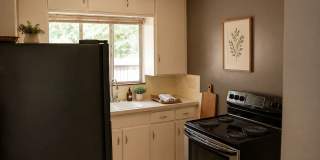 Cozy 1-Bedroom Near DU with Private Yard & Parking Gallery 1