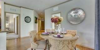 Summerfield at Morgan Metro Gallery 10