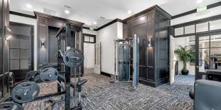 Calais Midtown Gallery 65