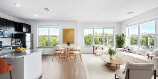 The Washingtons Gallery 1