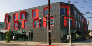 Little Zoe Gallery 31