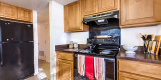 TGM Autumn Woods Gallery 1