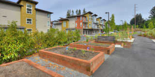 The Reserve at Town Center Gallery 78