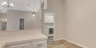 1331 Frost Flower Drive Gallery 11