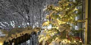 413 Atwells Avenue unit: 2 Gallery 11