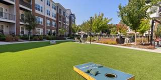 Alta Wren Gallery 40