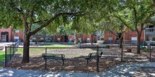 Quarry Alamo Heights Gallery 24