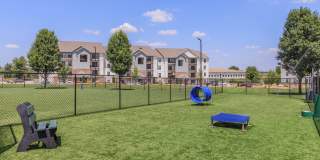 Orchard Park Gallery 20