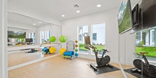 Emerson at Trace Gallery 12