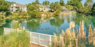 Springhouse Gallery 6