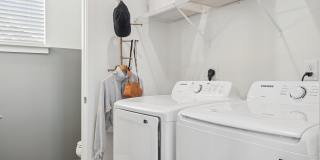 Hamlet Watkins Centre Gallery 27