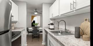 Avana at South Station Gallery 11