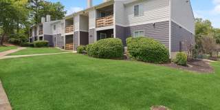 The Stella The Stella Gallery 23