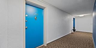 4141 BAYSHORE Boulevard Gallery 2