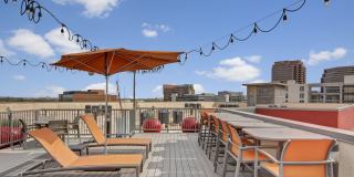 Proxy 333 Gallery 14