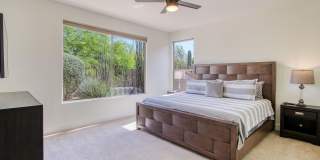 6951 E HIBISCUS Way Gallery 24