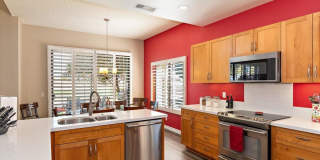 54838 Oak Tree Gallery 18