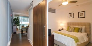 Lex and Leo at Waterfront Station Gallery 6