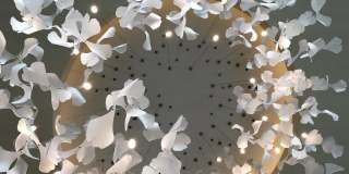 Lumen Fox Valley Gallery 7