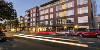 Springline Gallery 1