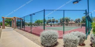 COYOTE LAKES BEAUTIFUL VIEW OF GOLF COURSE/NOT AGE RESTRICTED**NO TENANT FEES Gallery 43