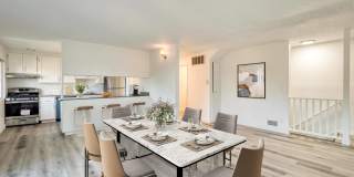 The Harlow Gallery 8