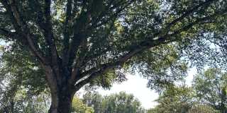 43 Tanglewood Ln Gallery 1