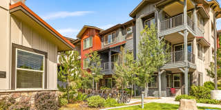 Mountain Trail Gallery 14