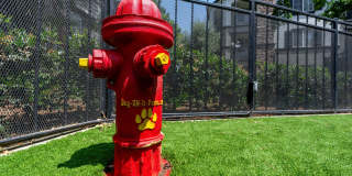 Villas at the Gardens Gallery 55