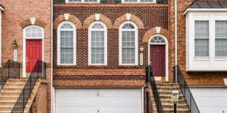 21759 LADYSLIPPER Square Gallery 1