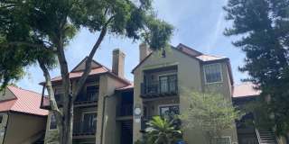 Spacious 1 bedroom/1 bathroom condo at Oasis at Pearl Lake Gallery 15