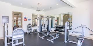 Arista Apartments Gallery 33