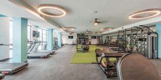 Cove at 47th Gallery 15