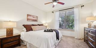 Andante at Nine Mile Station Gallery 24