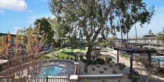 Tierra Palms Gallery 98