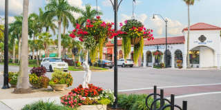 Marlowe Jacaranda Gallery 44