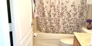 20314 Noble Oak Place Gallery 17