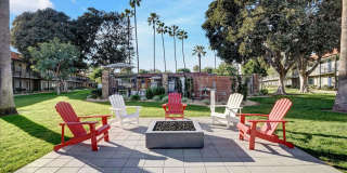 Tierra Palms Gallery 92