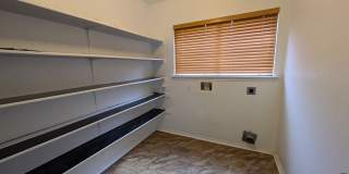 5015 Viking Coral Gallery 12