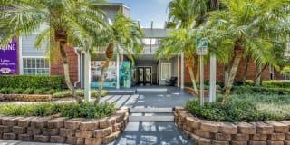 Lotus Landing Gallery 25