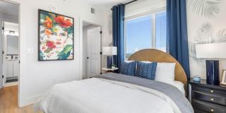 Tortoise One Gallery 11