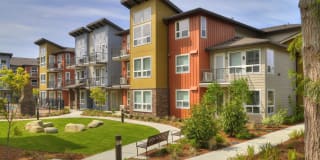 The Reserve at Town Center Gallery 41